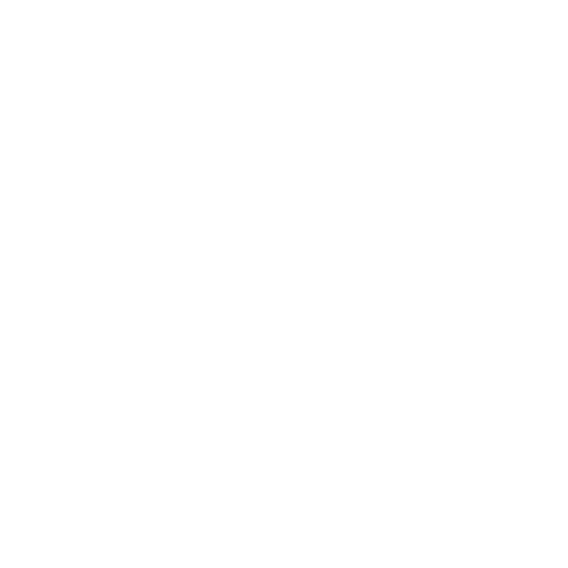statistic icon